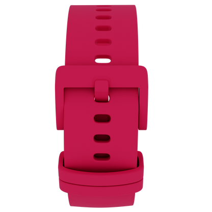 Paquete de 3 correas Adventurer 2 & Loop