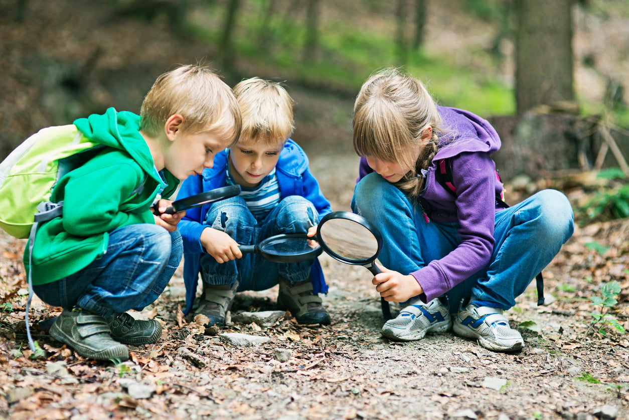 8 cosas divertidas para hacer al aire libre este fin de semana