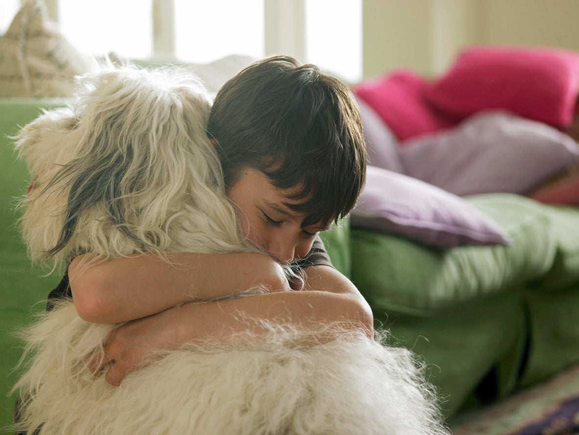 Hoe kinderen emotionele geletterdheid ontwikkelen